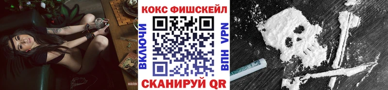 Купить закладки  Енисейск  Кокаин Эквадор 