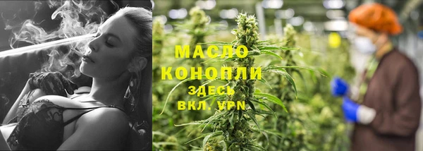 прущие грибы Карпинск
