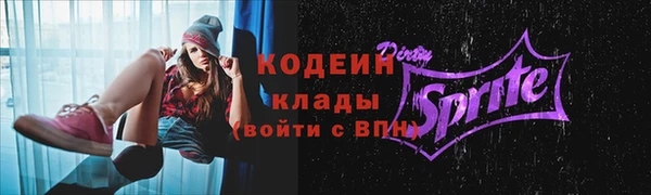 дмт Каменногорск