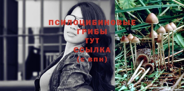 mix Каменка