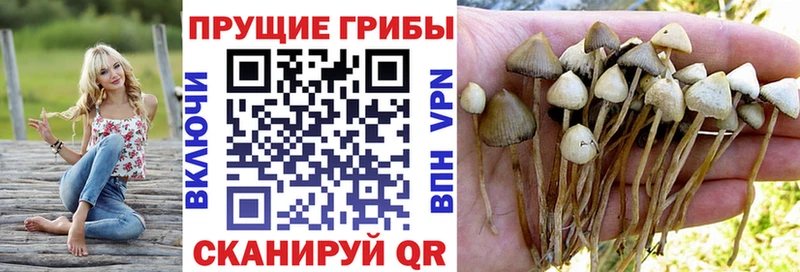 Галлюциногенные грибы прущие грибы  Купить где  Енисейск 