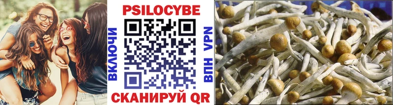 Псилоцибиновые грибы Magic Shrooms Енисейск